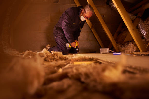 Best Insulation Installation Services in Winfield, AL